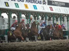Hipódromo de las Américas 3 .jpg