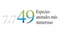 Miniatura de la versión del 03:32 21 may 2020
