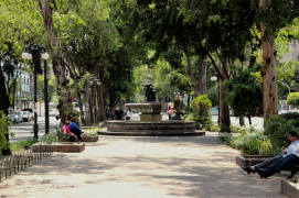Avenida Álvaro Obregón