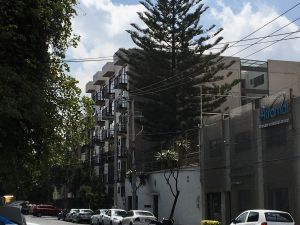 San Mateo (3).jpg