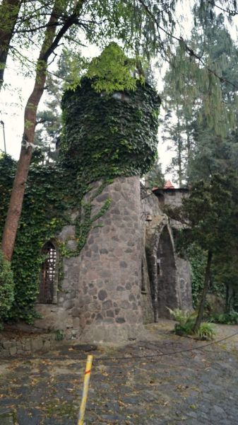 Archivo:La casa del árbol.jpg