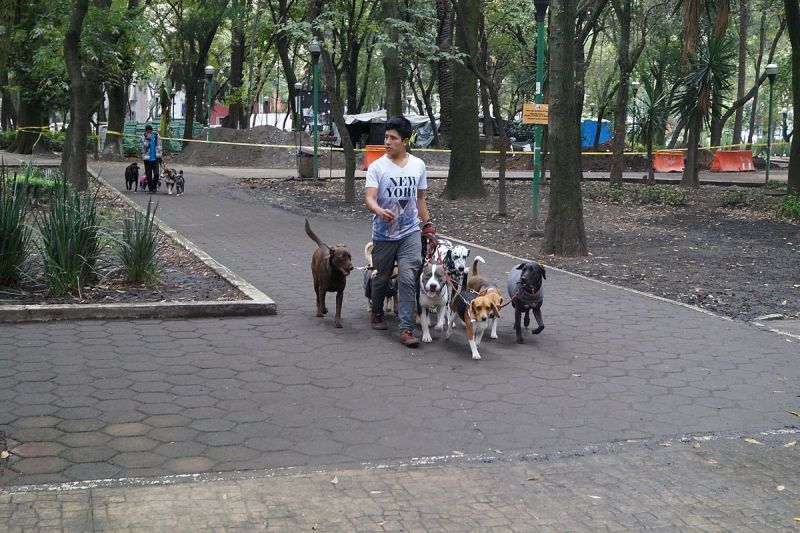 Archivo:Parque España.jpg