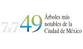 Miniatura de la versión del 17:40 18 may 2020