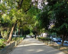 Avenida Mazatlán