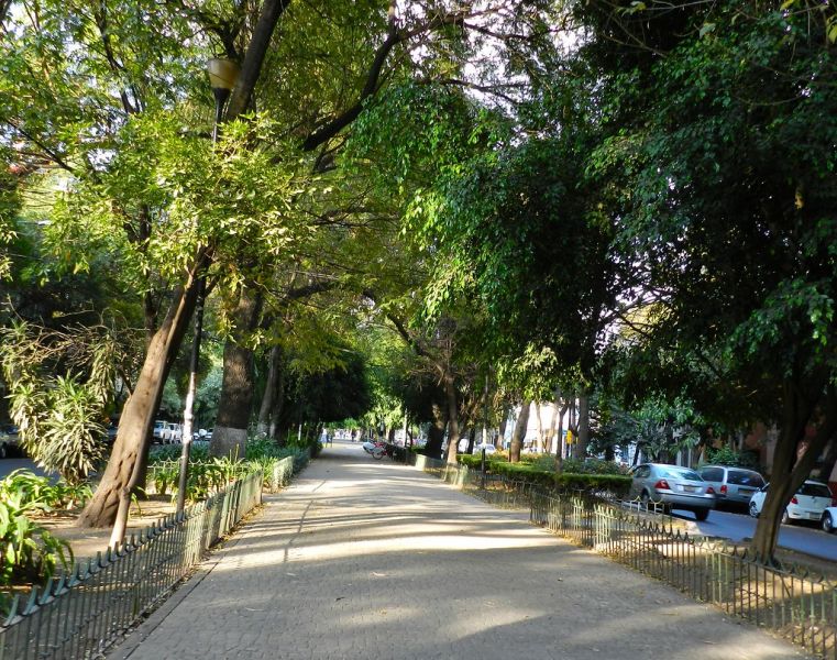 Archivo:Avenida Mazatlán.jpg