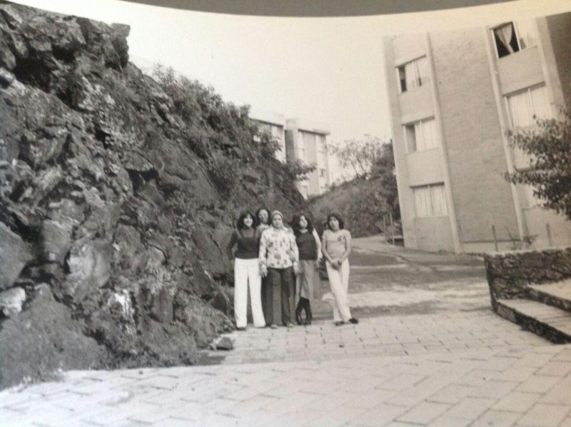 Archivo:Lindero Piedra volcánica.jpg