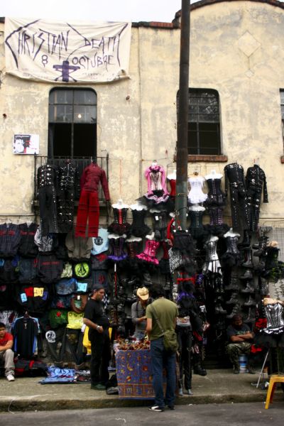 Archivo:Chopo1.jpg