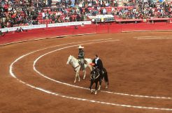 Los alguacilillos pidiendo permiso para abrir la puerta
