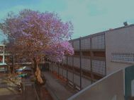 PREPA 7 2.jpg