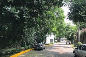 Calle Salvador Novo. Coyoacán.jpg