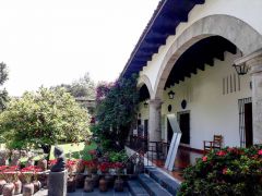 Dolores Olmedo 06.jpg
