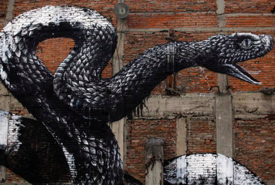 Roa Serpiente negra.png