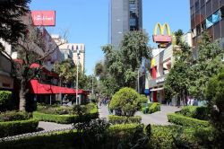 Calle Génova CDMX.jpg